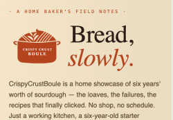 CrispyCrustBoule branded site preview